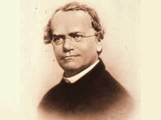 Gregor Mendel Foto